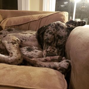 Meet your Posher, Erica